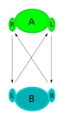 Handorder.png